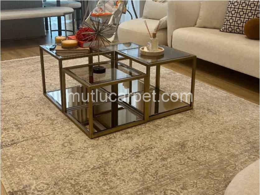 Apex-Aura-2871-Gri-kapak-3