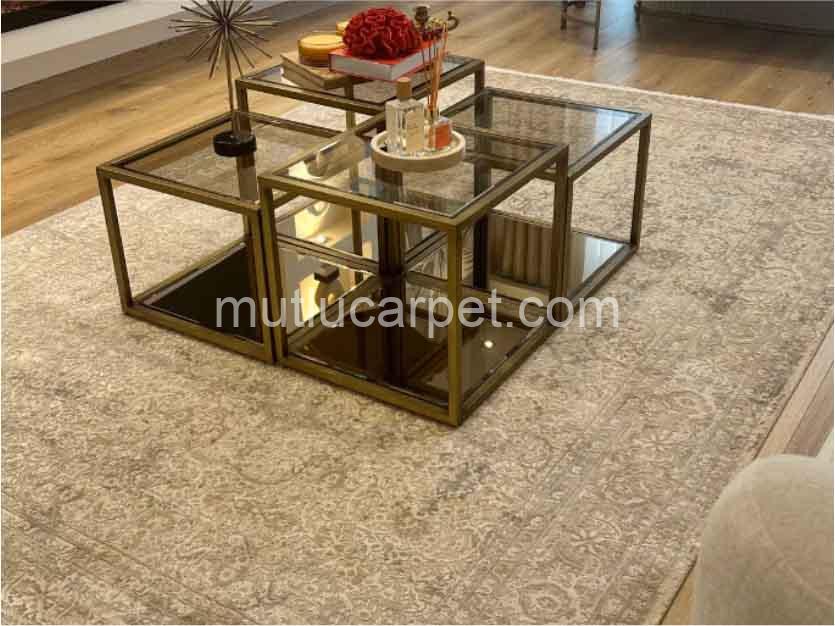 Apex-Aura-2871-Gri-kapak-4